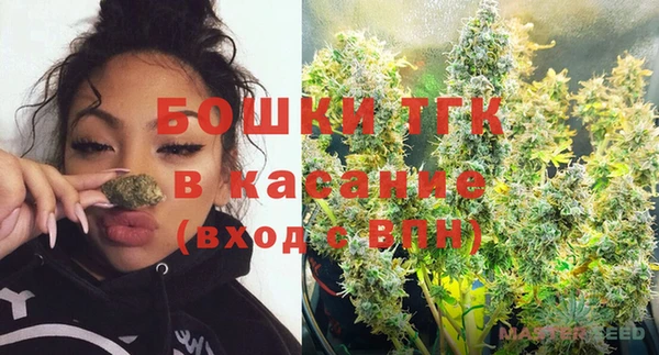 МДПВ Богородицк
