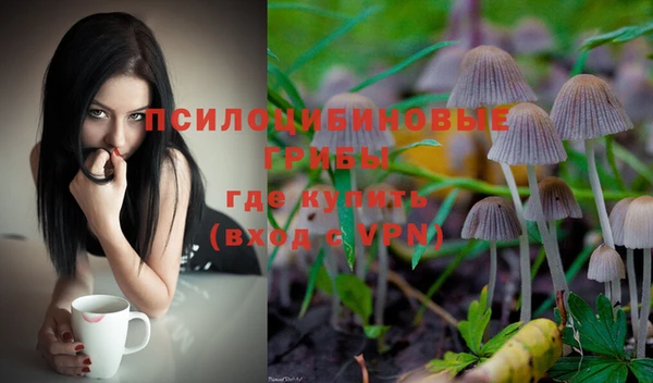 дмт Белоозёрский
