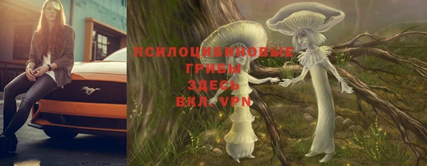 МДПВ Богородицк